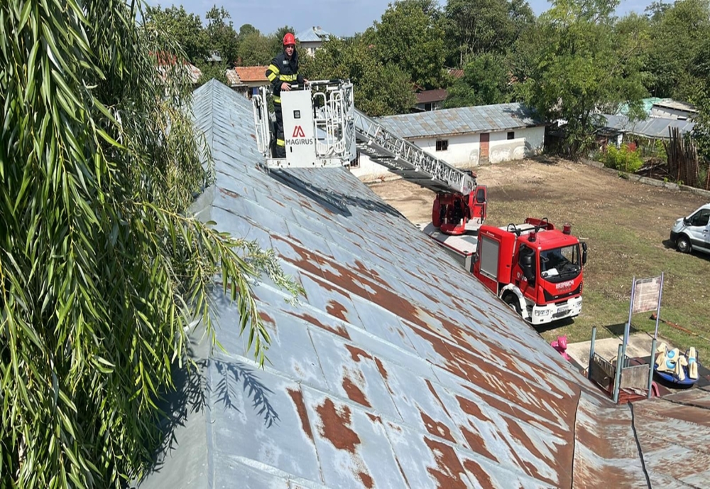 Giurgiu. Creangă căzută pe acoperişul unei şcoli