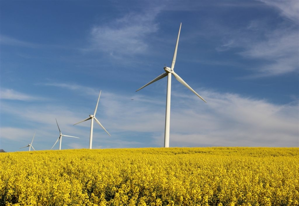 Datorită vântului puternic, centralele eolienele au asigurat astăzi jumătate din consumul de energie al României