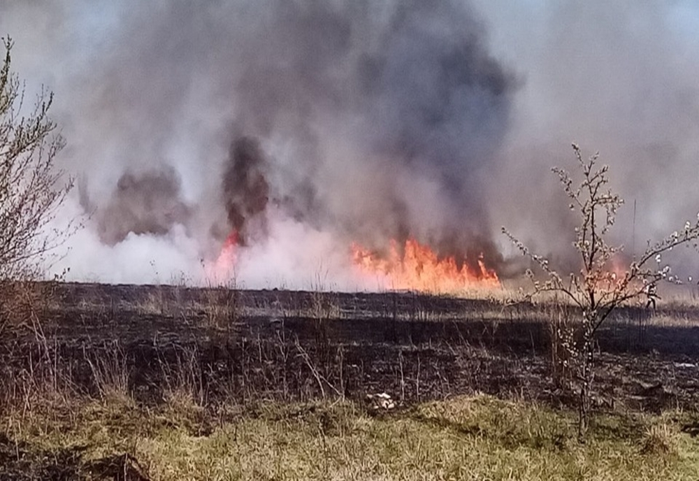 Incendiu violent în Dâmbovița! Arde o suprafaţă întinsă de vegetație uscată