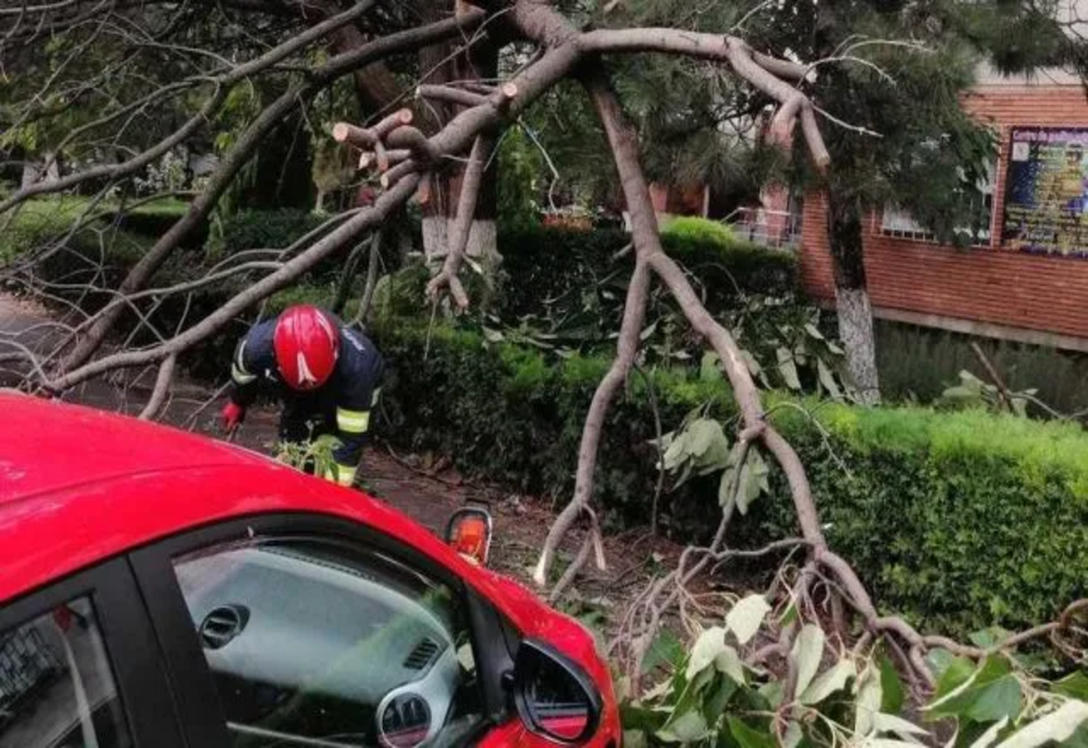 Intervenții ale ISU București-Ilfov pentru îndepărtarea copacilor căzuți din cauza vântului puternic