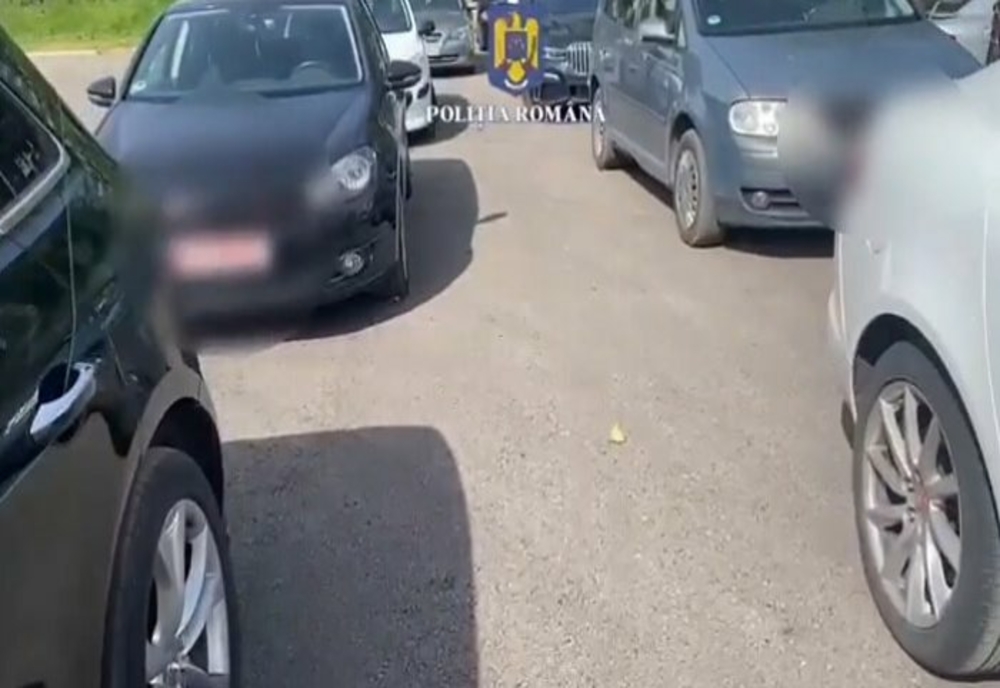 Poliţişti din patru județe, mobilizați pentru percheziții la proxeneţi din Dâmbovița- VIDEO