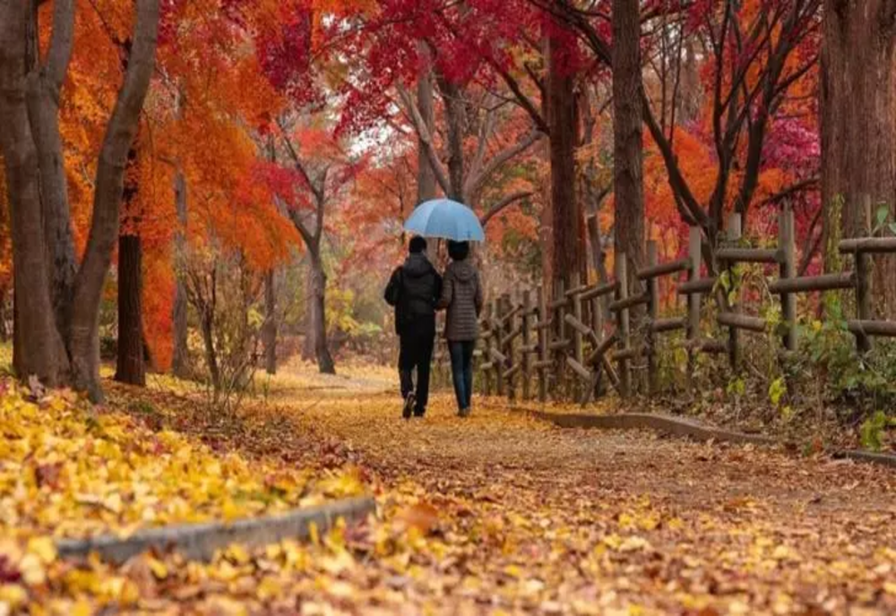 Vremea 18 septembrie – Cod gablen și portocaliu de ploi puternice și vijelii – Vreme rece în toată țara