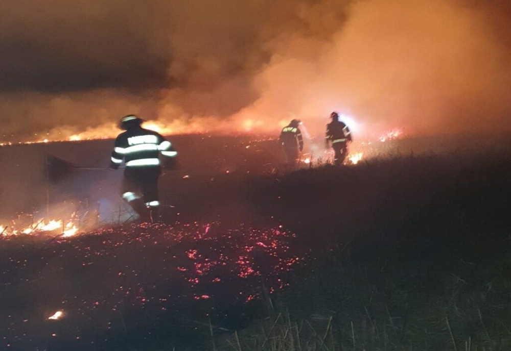 Intervenţia pompierilor dâmboviţeni pentru stingerea unui incendiu de vegetație uscată în Filipeştii de Pădure din judeţul Prahova