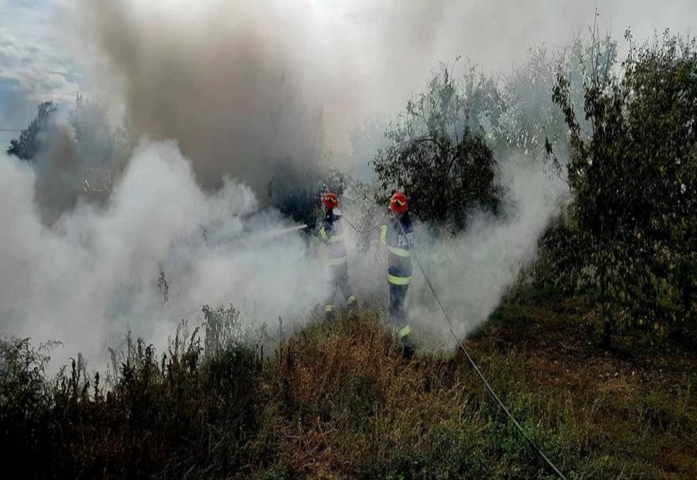 Foc de vegetaţie uscată lăsat nesupravegheat într-o gospodărie din Podişor. Pompierii au intervenit de urgenţă