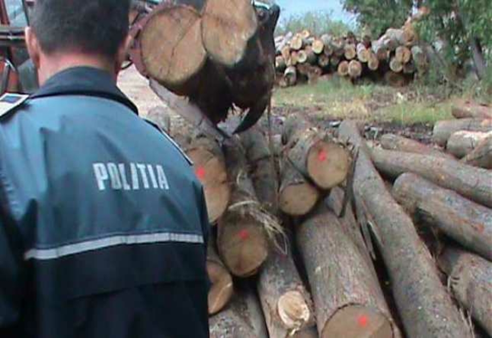 Amenzi de 20.000 lei, în urma unui control făcut de polițiști și Garda Forestieră la două firme din Dâmbovița