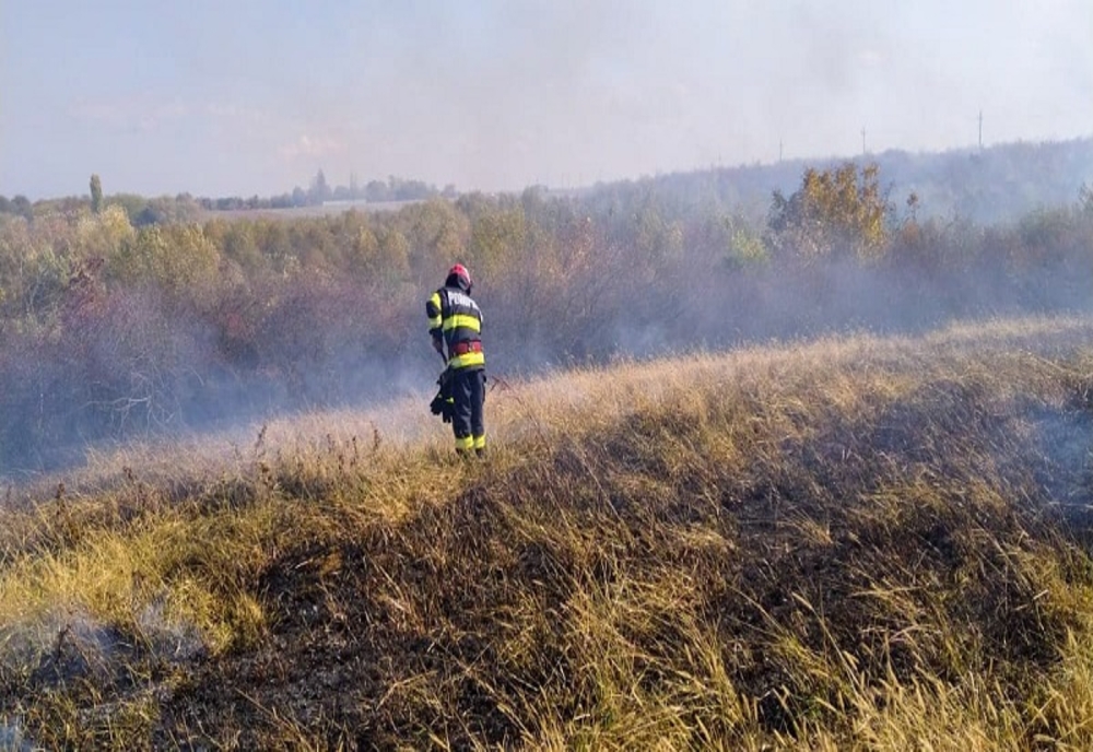 Dâmboviţa. Incendiu de vegetație uscată, la Butimanu