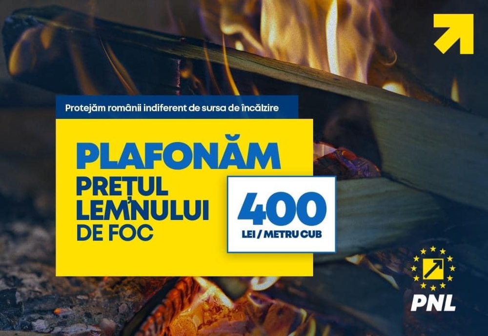 Peste 3 milioane de români vor beneficia de plafonarea preţului lemnului pentru foc