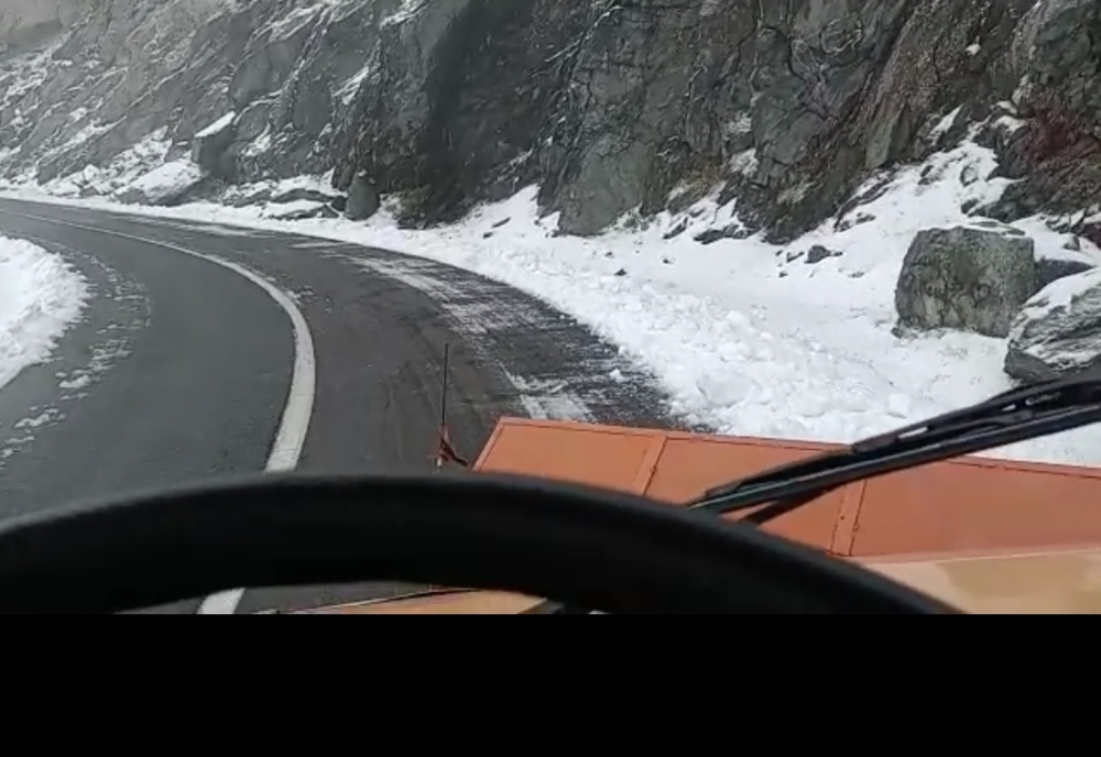 Ninge abundent pe Transfăgărăşan (VIDEO)