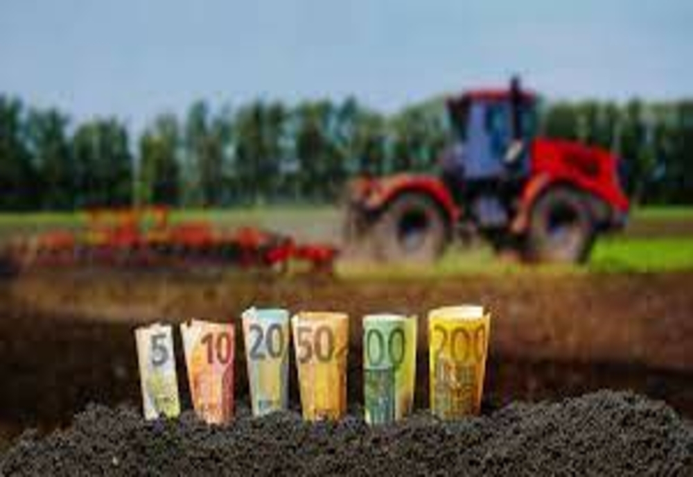 A început efectuarea plăților pe microgranturile și granturile pentru capital de lucru acordate sectorului agroalimentar