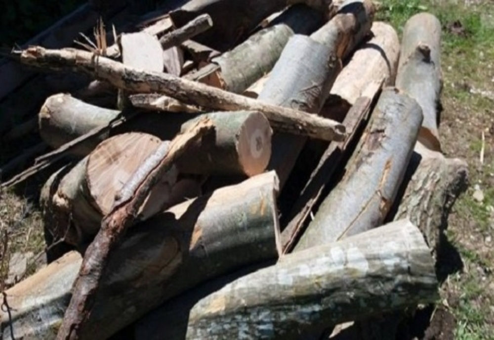 Aproape 150 de metri cubi de material lemnos confiscați și sancțiuni contravenționale în valoare de 38.000 de lei aplicate