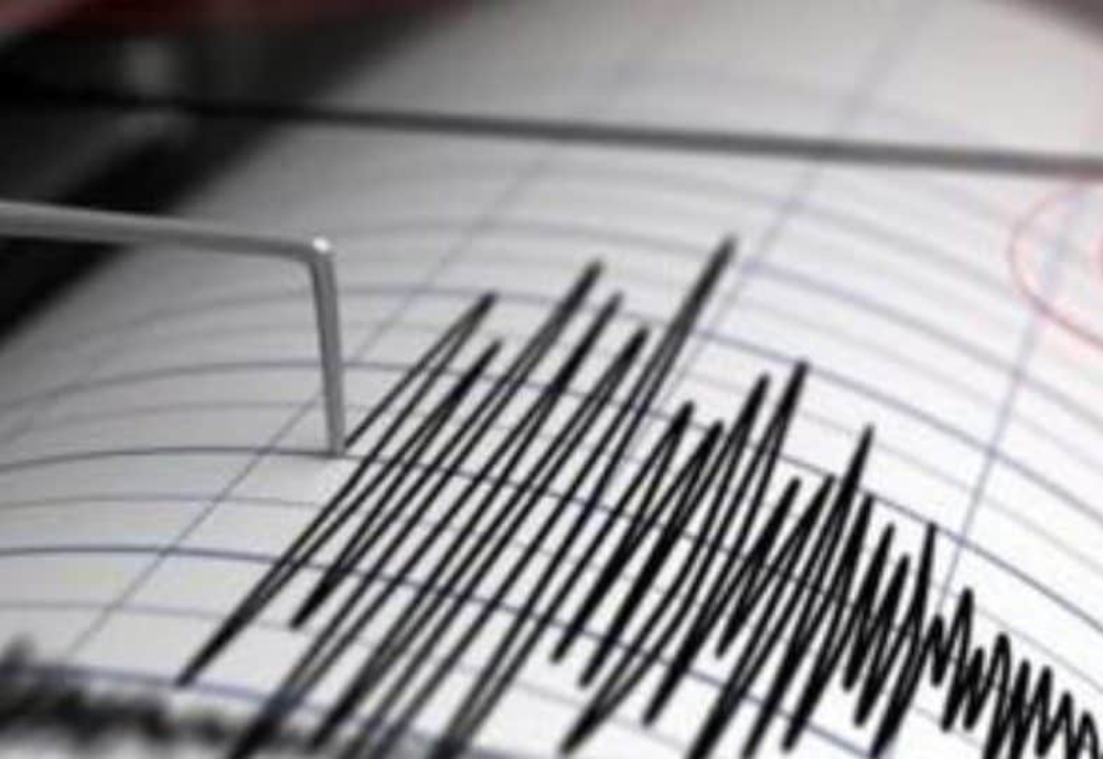 Cutremur cu magnitudinea de 2.7 produs în Vrancea, joi dimineață
