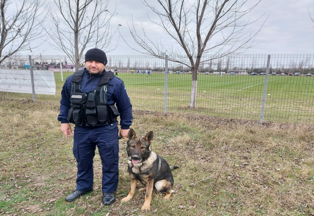 Fedor, câinele de 10 al Jandarmeriei Brăila și prima sa misiune