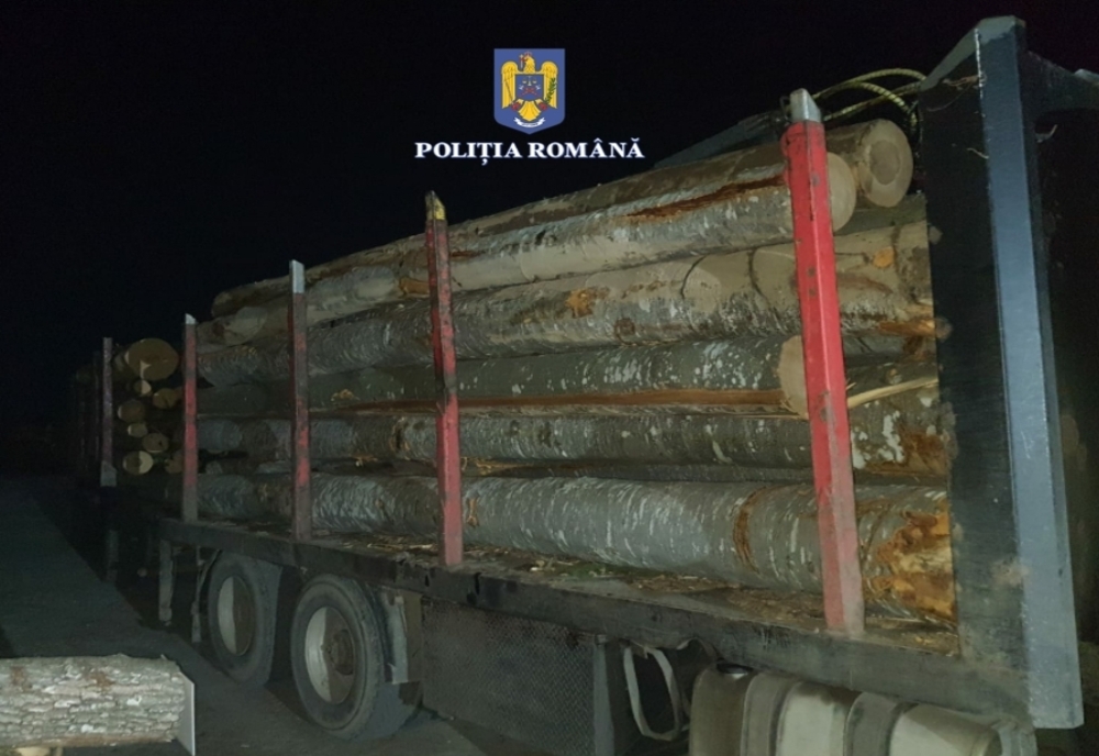 Bărbat din Harghita prins transportând peste 29 mc de lemn fără documente