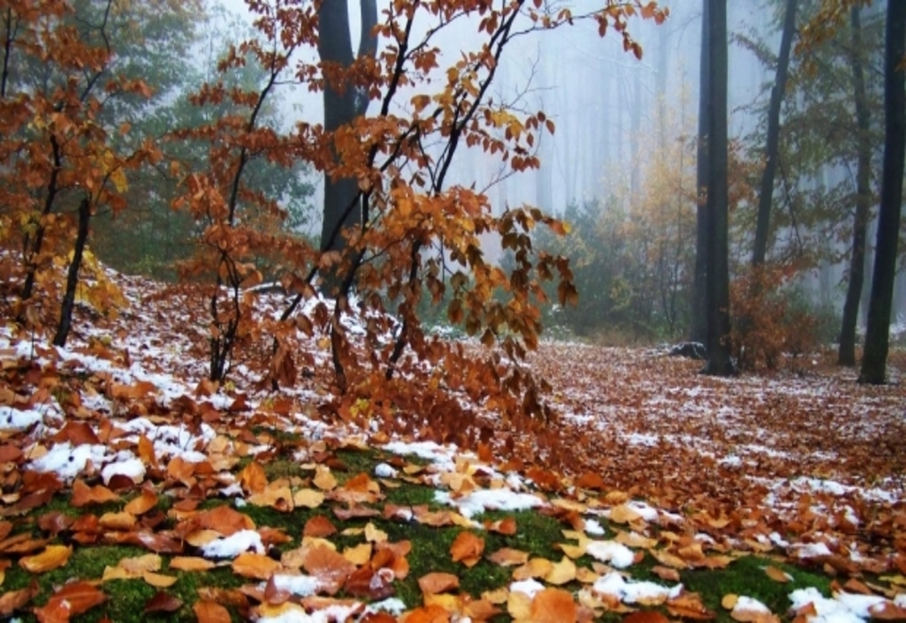 Vremea 7 noiembrie – Dimineți tot mai friguroase și condiții de ceață – Ce zone sunt vizate de ploi