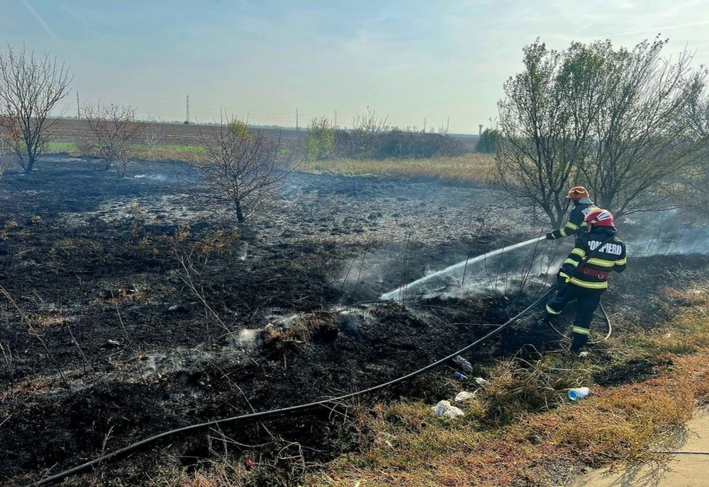 Giurgiu. Incendiu violent de vegetaţie uscată, resturi menajere şi anvelope, la Daia