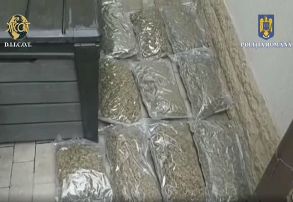 Flagrant DIICOT la Ploiești. Procurorii au găsit 500 de grame de cocaină și 28 de kilograme de canabis