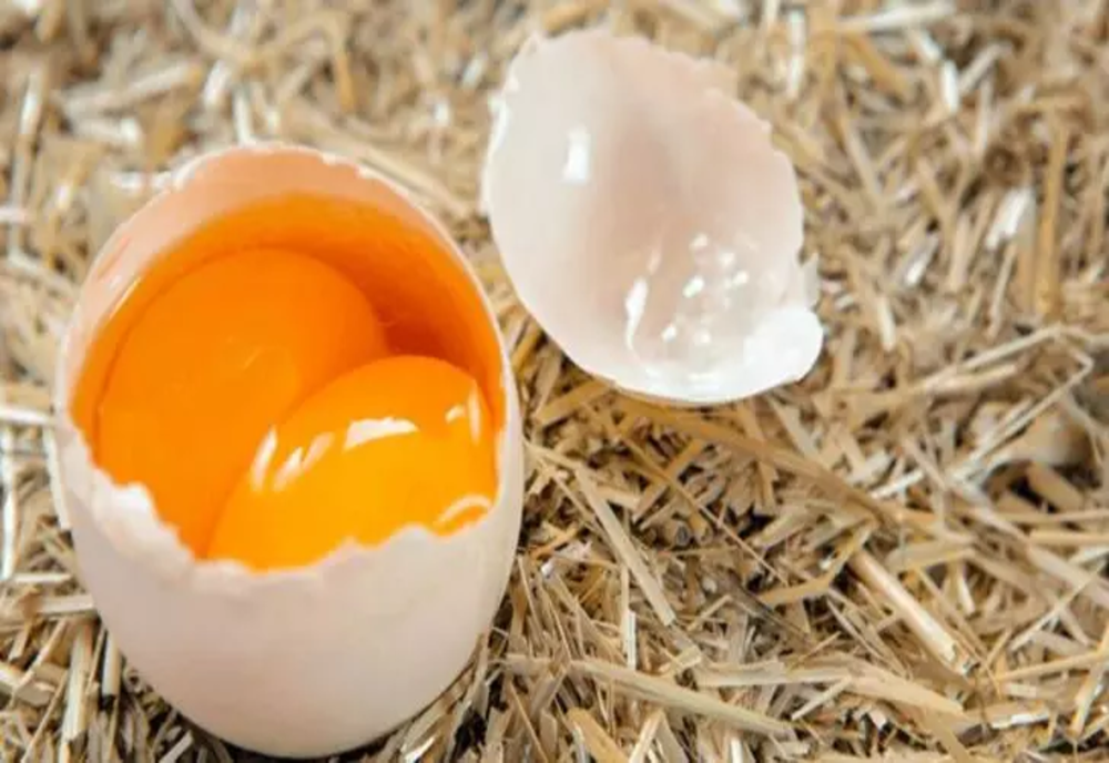 Cât de sănătoase sunt ouăle duble, cu 2 gălbenușuri. Care sunt superstițiile