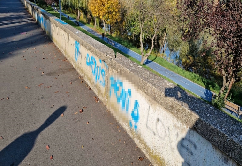 Grafitti cu mesaje obscene pe garduri din Arad. Autorii: patru copii