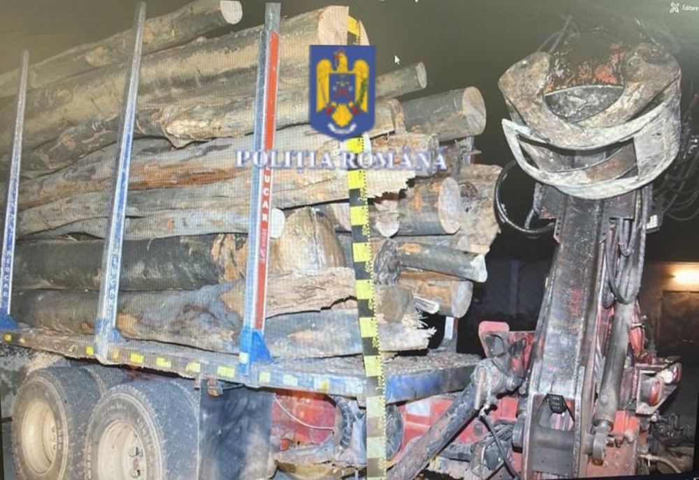 Peste 40 de metri cubi de lemn confiscați, într-un dosar penal întocmit pentru săvârșirea infracțiunii de fals informatic