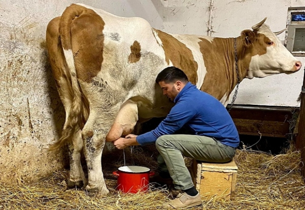 Deputatul PNL de Satu Mare, Adrian Cozma sare în ajutorul fermierilor și cere compensarea cu un leu a fiecărui litru de lapte vândut