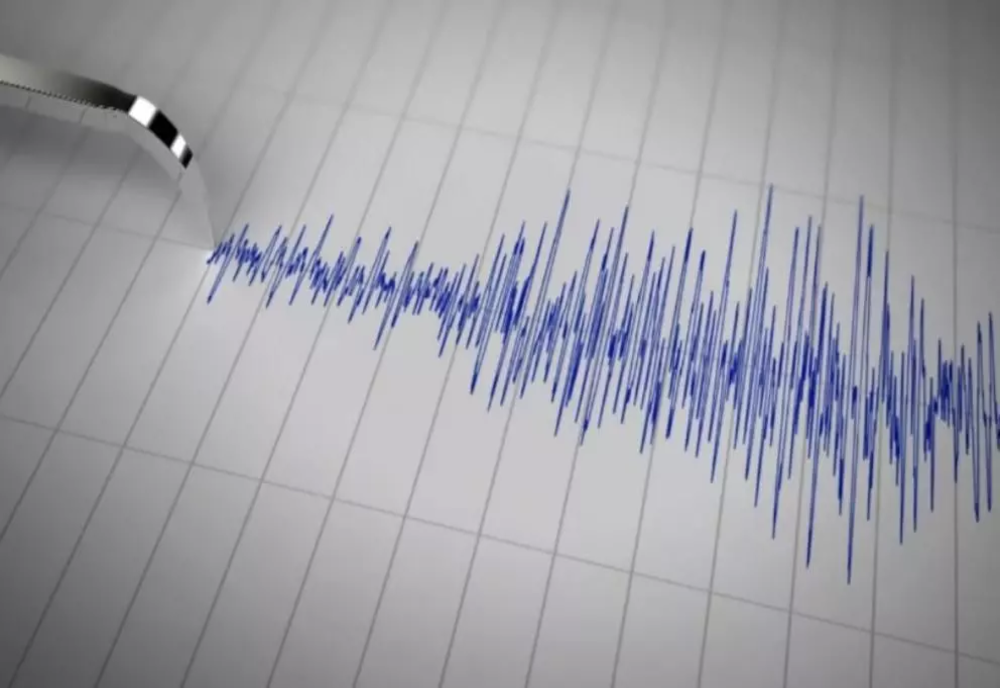 Cutremur cu magnitudinea 2.8, în judeţul Buzău