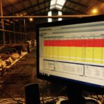 Studiu: Companiile nu îşi ating obiectivul de transformare digitală fără o prioritizare a proiectelor