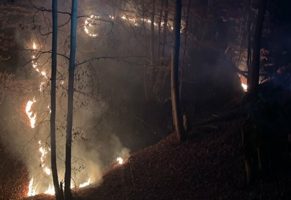 Peste 30 de hectare afectate, joi, de incendii de vegetație, în Prahova