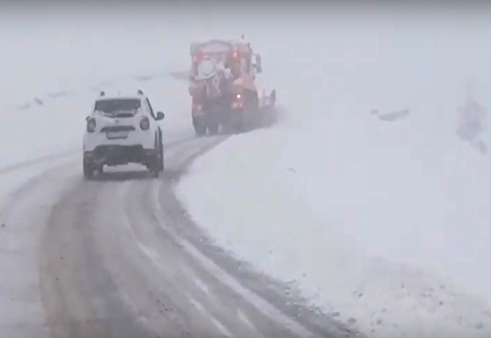 Gorj: A nins abundent în zona montană (VIDEO)