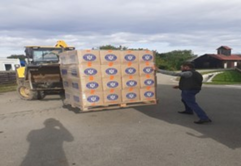 Bistrița-Năsăud: A început distribuirea de  pachete cu ajutoare alimentare pentru persoanele defavorizate