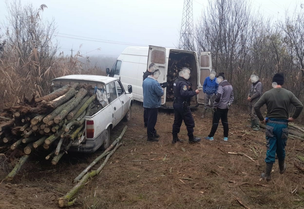 FOTO Cinci hoți de lemne prinși în flagrant