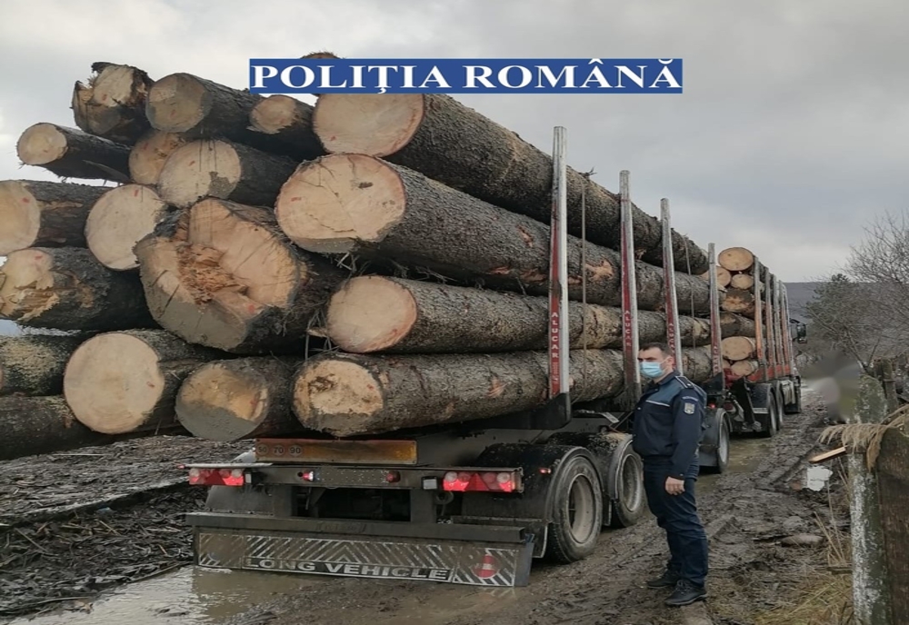 Material lemnos transportat ilegal, în valoare de peste 10.000 de lei, confiscat de polițiștii bistrițeni