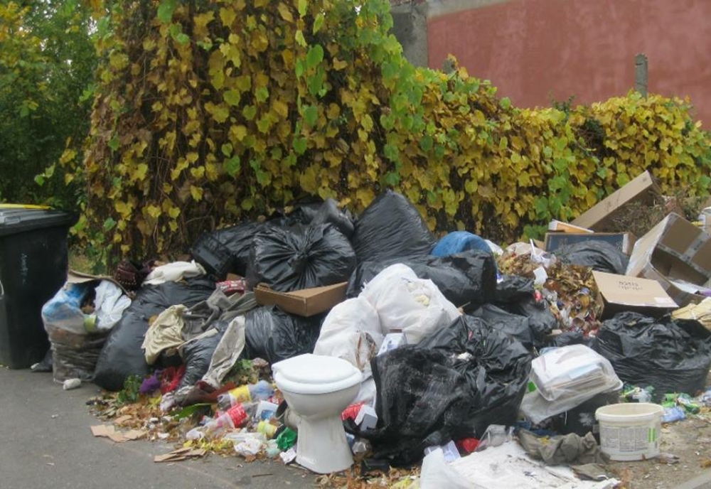 Străzile la control: sute de rampe ilegale de deșeuri, descoperite la Timișoara