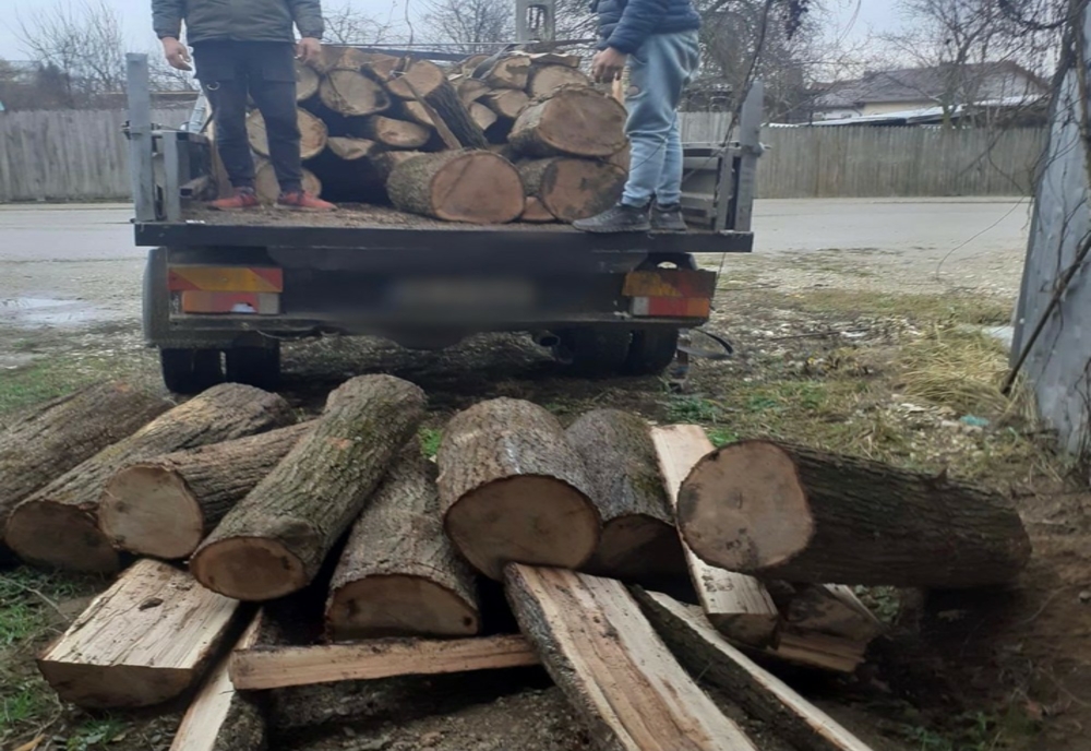 Dâmbovița. 2 metri cubi de material lemnos confiscat de polițiști