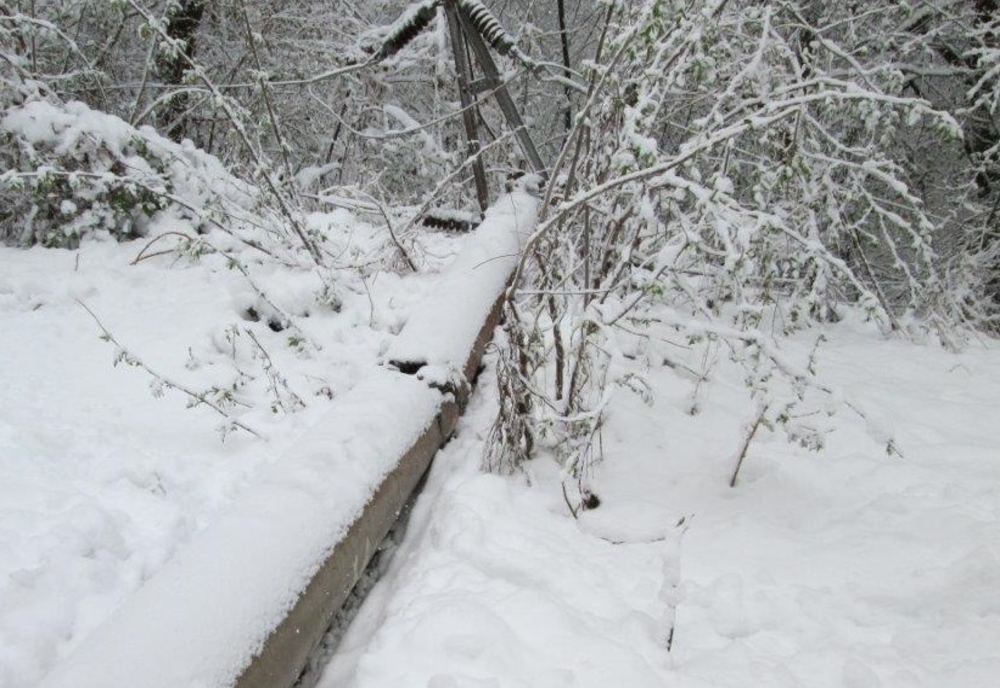 Probleme produse de prima zăpadă, în Dâmbovița! Pompierii au intervenit pentru a înlătura arbori și stâlpi căzuți
