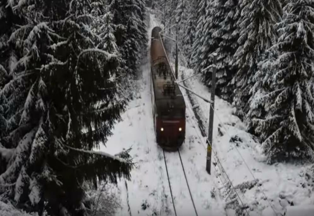 Tren rămas blocat în vestul țării, din cauza vremii nefavorabile: copacii smulși de vânt au căzut peste calea ferată