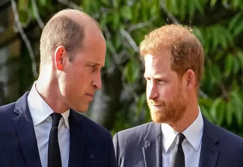 Prinţul Harry susţine că a fost bătut de fratele său William, în 2019: “A dat cu mine de pământ”