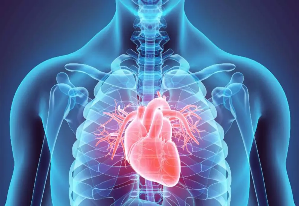 Alimentul surprinzător recomandat de un cardiolog: „Este prietenul inimii”