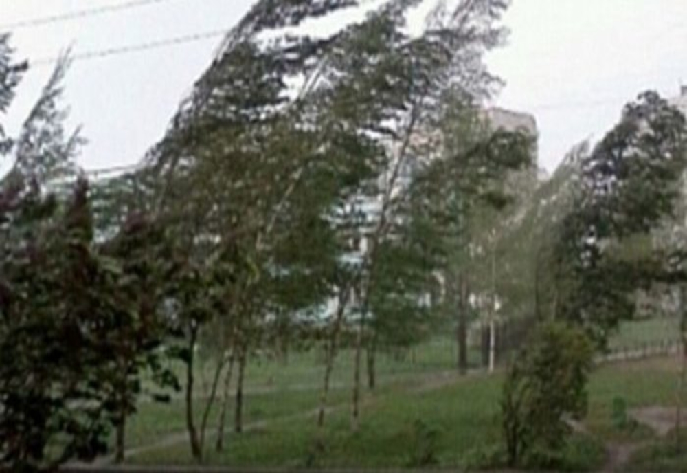 Avertizare COD GALBEN de vânt puternic în mai multe localități din Bihor