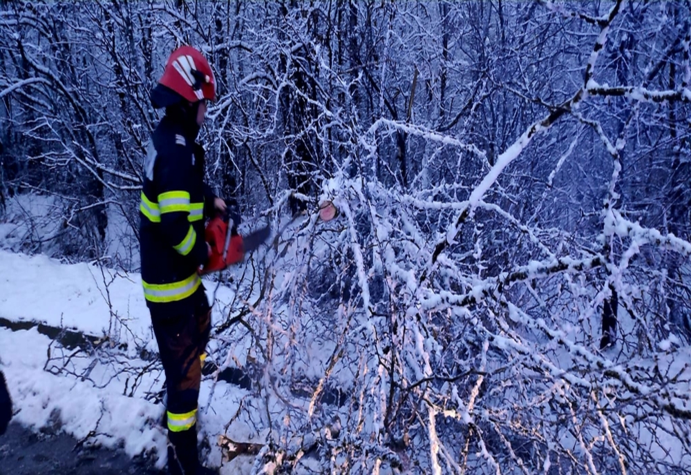 Copac căzut pe carosabil din cauza zăpezii, pe DN 5! Pompierii, în alertă!