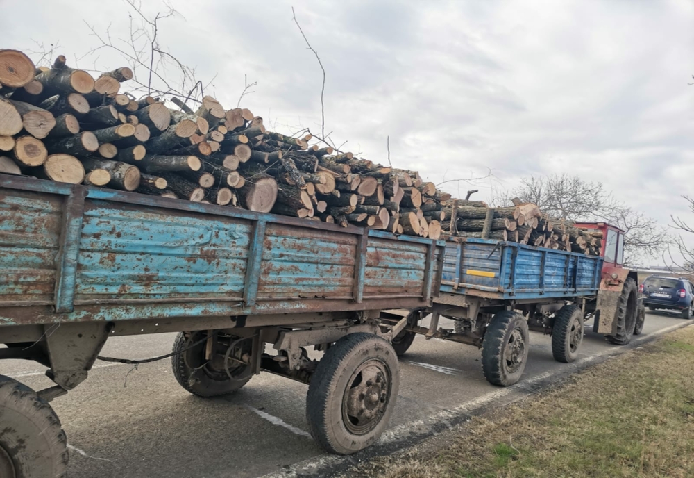 Amenzi în valoare de 10.000 de lei pentru nerespectarea legislației privind transportul de material lemnos
