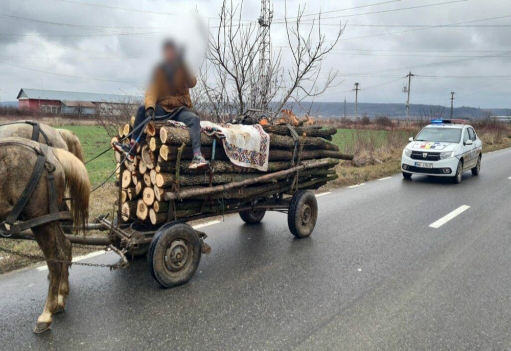 Dâmbovița: Prins în sat, cu căruța plină de lemne furate