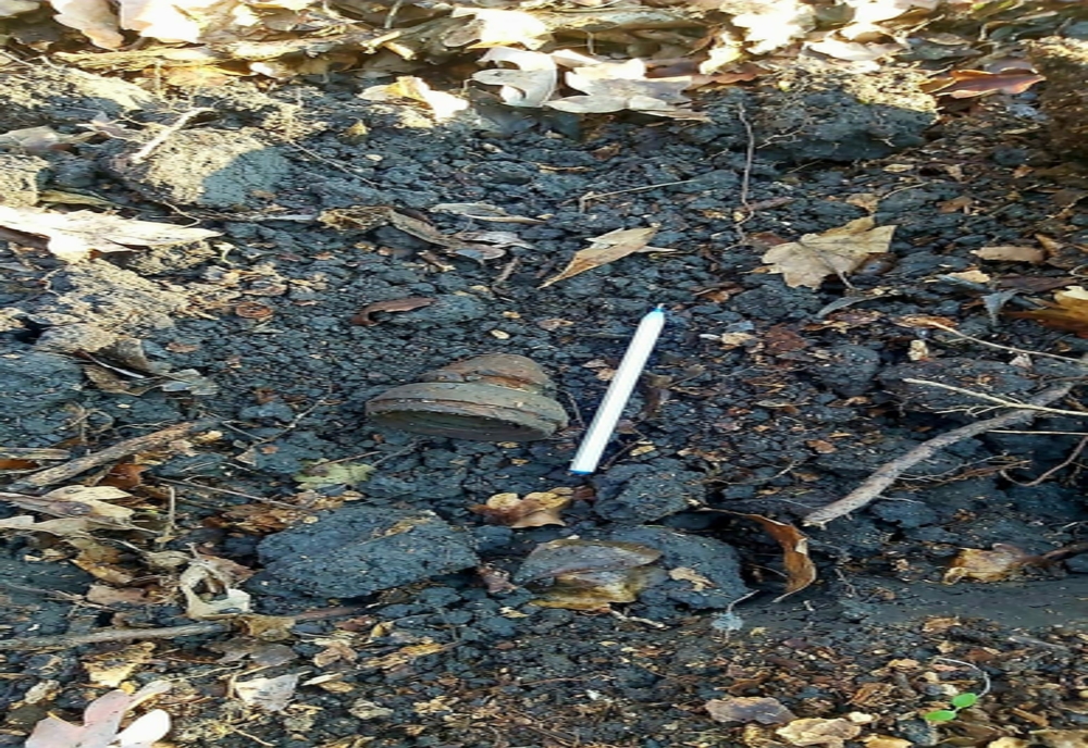 Muniţie neexplodată descoperită în pădurea Călugăreni de către un căutător de metale