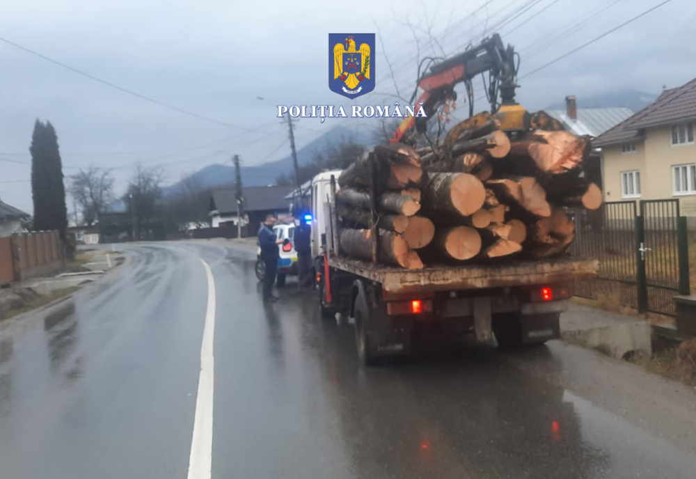 Amenzi de peste 10.000 lei, aplicate de polițiștii din Bistrița-Năsăud, transportatorilor de material lemnos