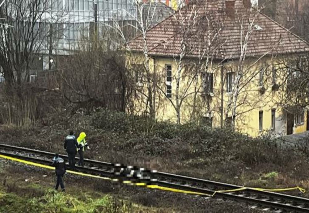 Descoperire macabră la Timișoara: un bărbat a fost lovit de tren, aproape de o zona aglomerată a orașului