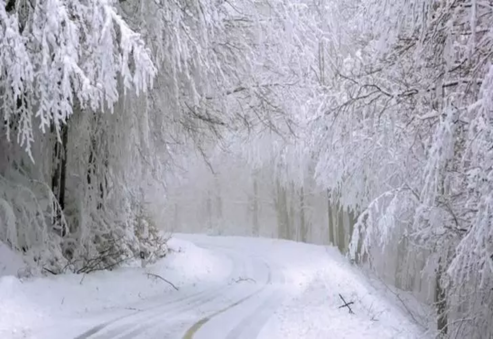 Vremea 25 ianuarie – Ninsorile vin în Moldova, Muntenia și Dobrogea – Condiții de polei și ceață în mai multe zone