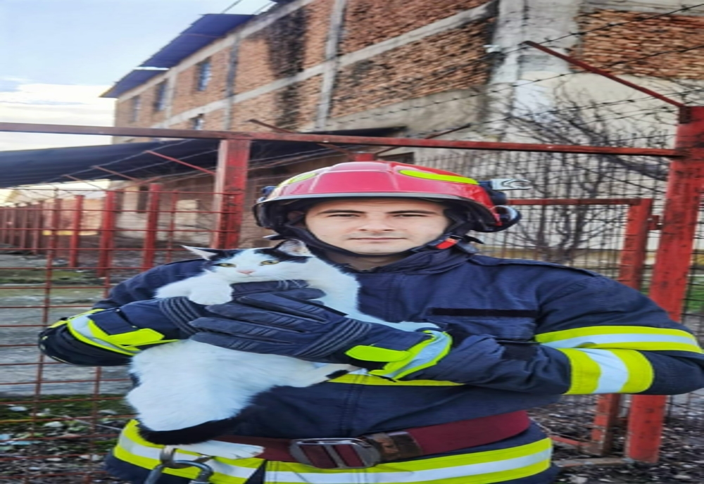 Giurgiu. Pisică salvată de pe acoperişul unei clădiri de pompierii giurgiuveni