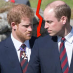 Nou scandal în Casa Regală. Prințul Harry dezvăluie cum a fost bătut de fratele său, William