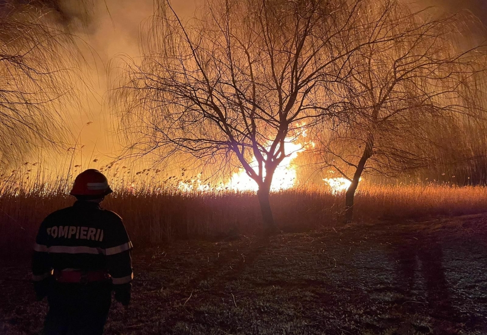 VIDEO Incendiu violent de vegetație uscată și stuf în apropiere de Murighiol