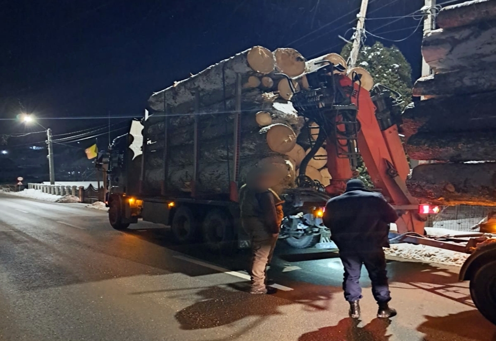 Transport ilegal de material lemnos depistat de către jandarmii bistrițeni