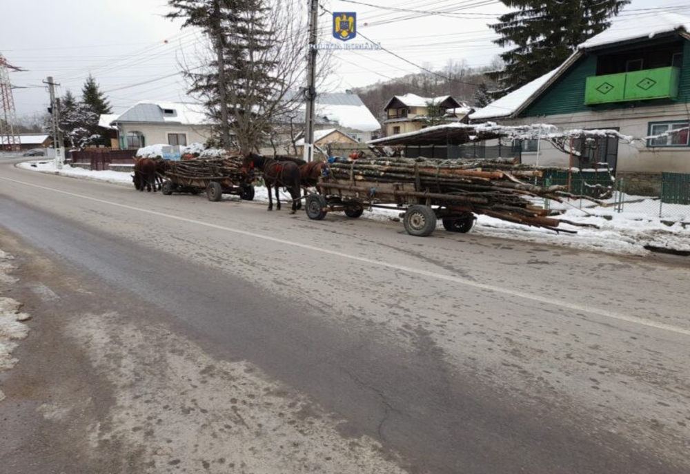 Doi bărbați din Dâmbovița, prinși la furat lemne cu căruțele! Au fost amendați drastic, iar materialul lemnos le-a fost confiscat